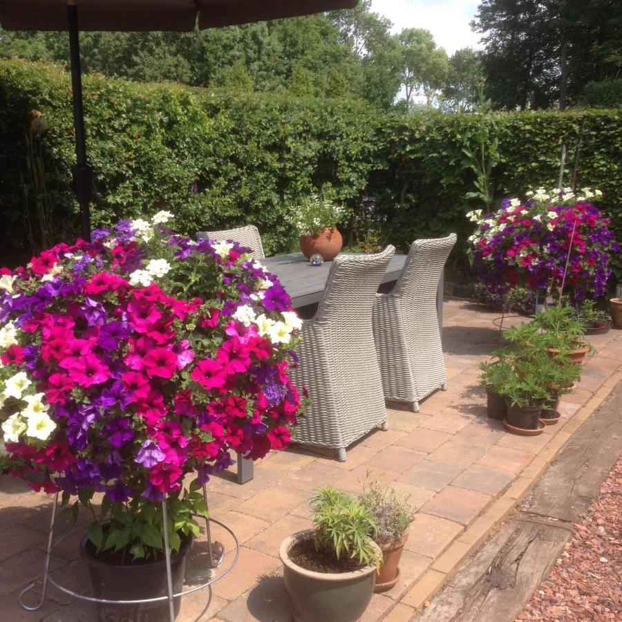 Bed and Breakfast T' Hogeland Ainrom Eenrum Exterior foto